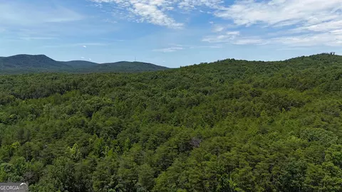 587 E Valley Rd NE, Rydal, GA 30171