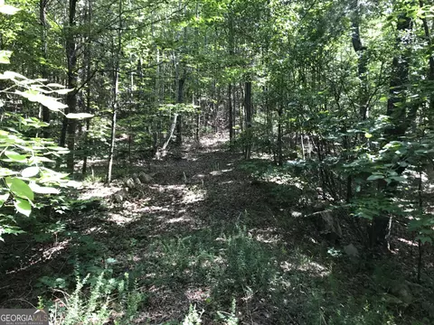 587 E Valley Rd NE, Rydal, GA 30171 photo 14