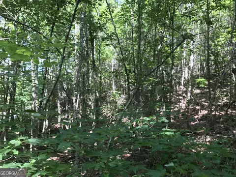 587 E Valley Rd NE, Rydal, GA 30171 photo 29