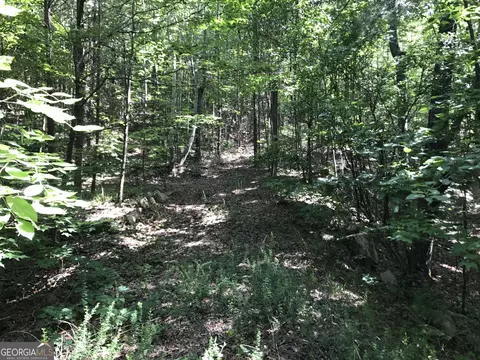 587 E Valley Rd NE, Rydal, GA 30171 photo 28