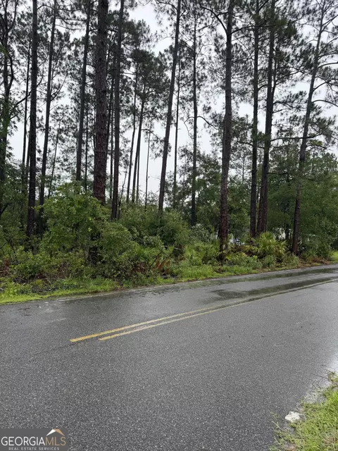 30 Gibson St, Nahunta, GA 31553