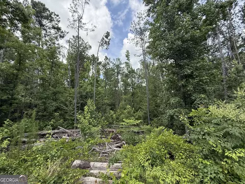 Other - 3879 E White Oak Rd, Appling, GA 30802 photo 7 of 7