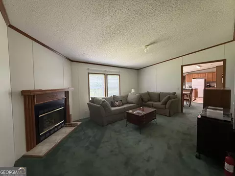 Living - 3879 E White Oak Rd, Appling, GA 30802 photo 3 of 3