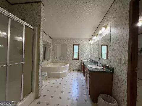 Bath - 3879 E White Oak Rd, Appling, GA 30802 photo 3 of 4