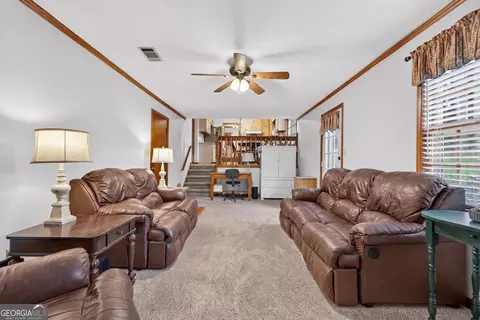 Other - 149 Olde Hampton Way, Hampton, GA 30228 photo 4 of 10