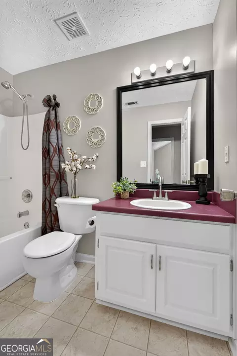 Bath - 209 Chinns Way, Hampton, GA 30228 photo 6 of 6