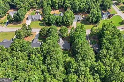 View/Area - 209 Chinns Way, Hampton, GA 30228 photo 3 of 3