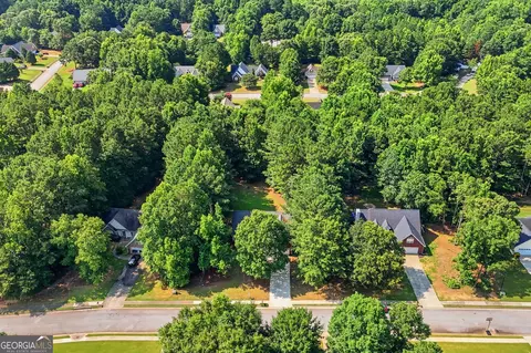 View/Area - 209 Chinns Way, Hampton, GA 30228 photo 1 of 3