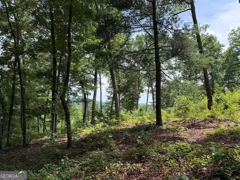lot20 Lake Top Ln #20, Ellijay, GA 30540