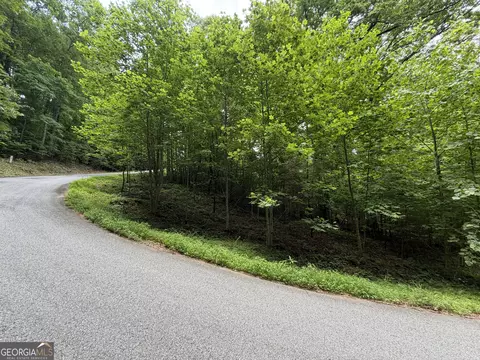 lot19 Mill Ridge Rd, Hiawassee, GA 30546
