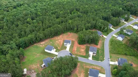 20 Great Canyon Ln, Covington, GA 30016 photo 8