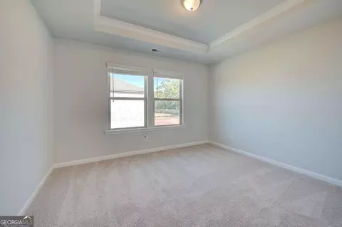 125 Haverling Pass, Hampton, GA 30228 photo 22
