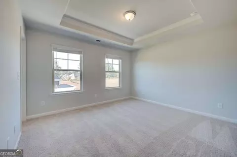 125 Haverling Pass, Hampton, GA 30228 photo 21