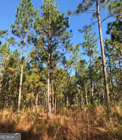 1400 Mount Olive Rd, Dublin, GA 31021