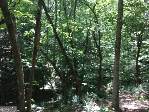 0 Damascus Rd, Ball Ground, GA 30107