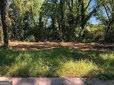 145 Plum St, Haddock, GA 31033 photo 2