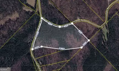 0 Felton Mcmichael Rd Hayes - Landlot 090 Rd, Monticello, GA 31064