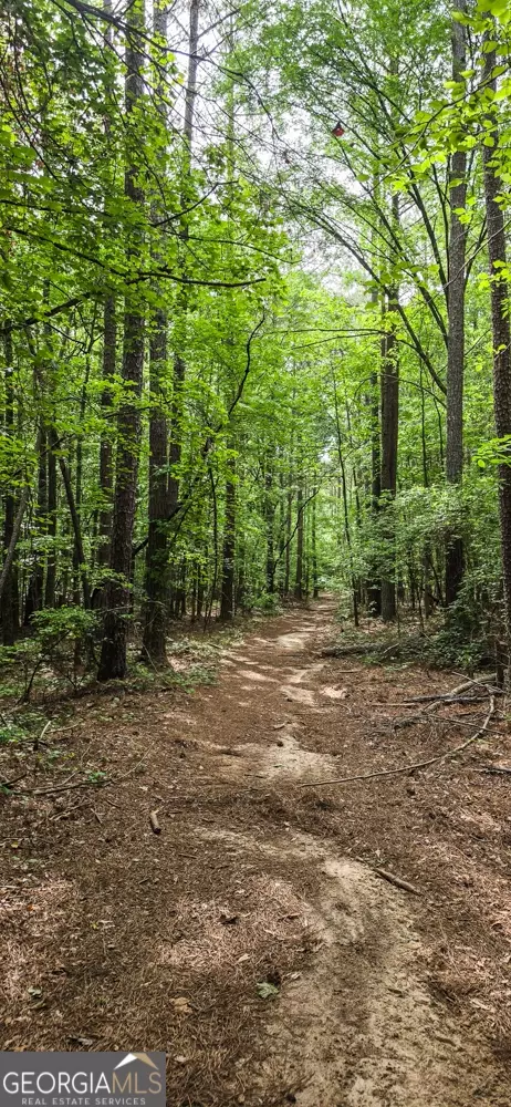 428 Padgett Road, Senoia, GA 30276