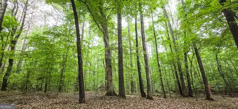 0 Padgett Rd, Senoia, GA 30276