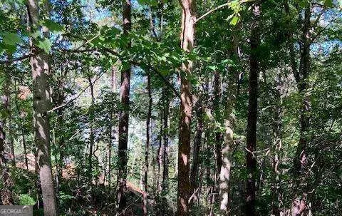 lot140 Red Oak Trl #140, Ellijay, GA 30540