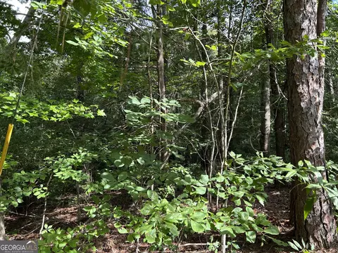 0 County Road 329, Wedowee, AL 36278