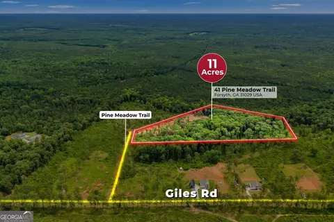 41 Pine Meadow Trl, Forsyth, GA 31029