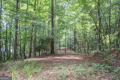 Other - 116 Wilson Creek Dr, Lagrange, GA 30240 photo 18 of 20
