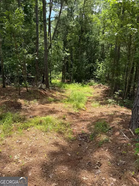 0 Whatley North Rd, Lagrange, GA 30240 photo 10
