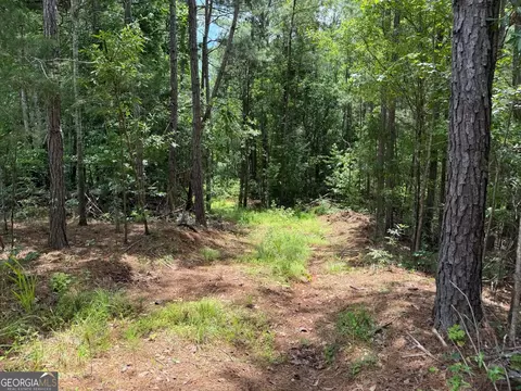 0 Whatley North Rd, Lagrange, GA 30240 photo 11