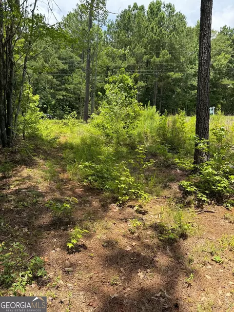 0 Whatley North Rd, Lagrange, GA 30240 photo 9