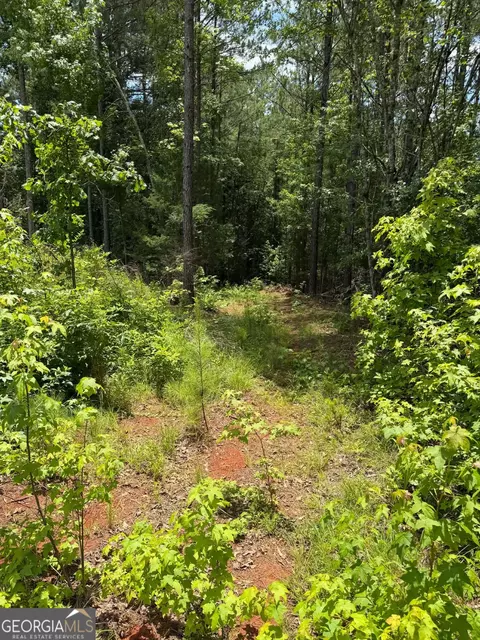 0 Whatley North Rd, Lagrange, GA 30240 photo 6