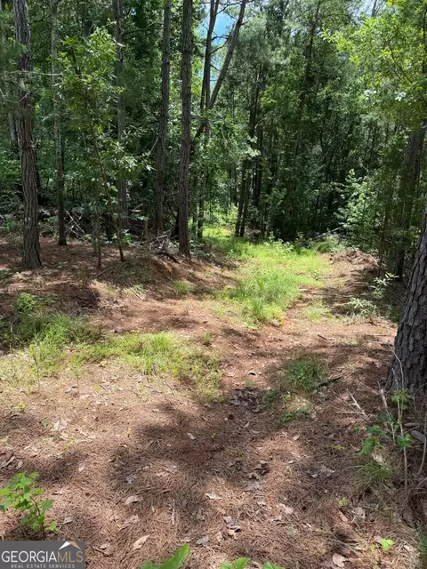 0 Whatley North Rd, Lagrange, GA 30240 photo 7