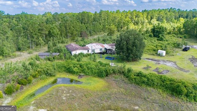 424 SE Hillman Dr, Ludowici, GA 31316