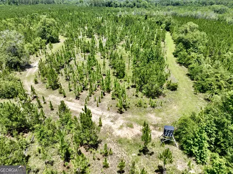 0 W River Rd, Rhine, GA 31077