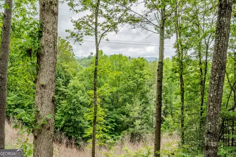 1095 Lonesome Pine Rd, Murphy, NC 28906 photo 29