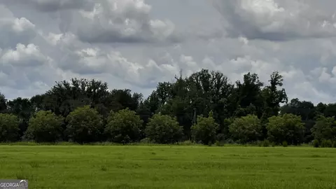 000 Old Reidsville Collins Rd, Collins, GA 30421