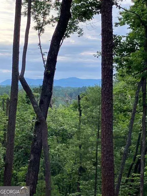 lot132 Red Oak Trl #132, Ellijay, GA 30540