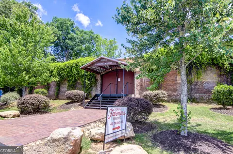 Exterior - 175 Spring Cir, Senoia, GA 30276 photo 23 of 24