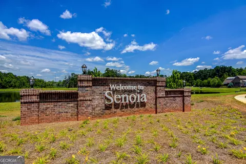 Other - 175 Spring Cir, Senoia, GA 30276 photo 5 of 17
