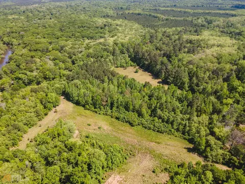 0 Old River Rd S #LOT 31, Brooklet, GA 30415 photo 4