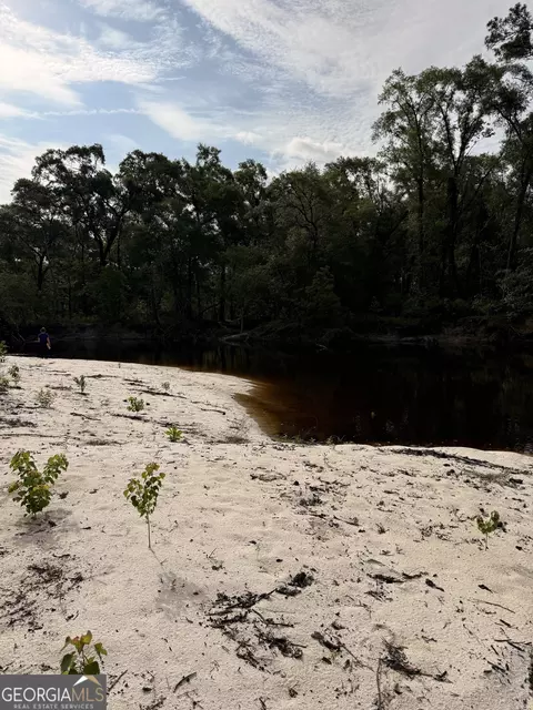 10 Acres Wildcat Ln - Satilla Riv, Waycross, GA 31503