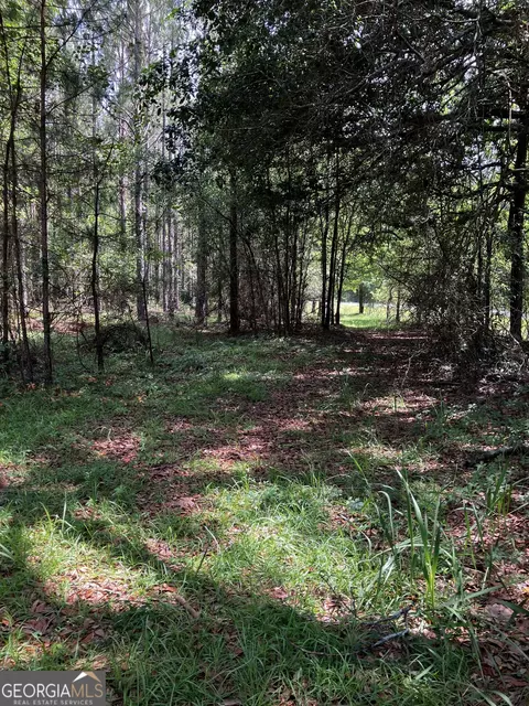 0 Hendrix Bridge Rd, Claxton, GA 30417 photo 8