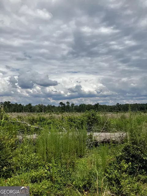 0 Hendrix Bridge Rd, Claxton, GA 30417 photo 6