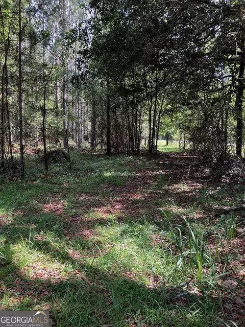 0 Hendrix Bridge Rd, Claxton, GA 30417 photo 7
