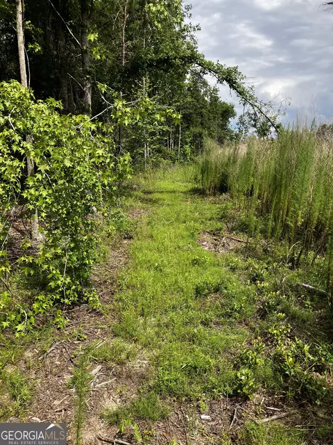 0 Hendrix Bridge Rd, Claxton, GA 30417 photo 4