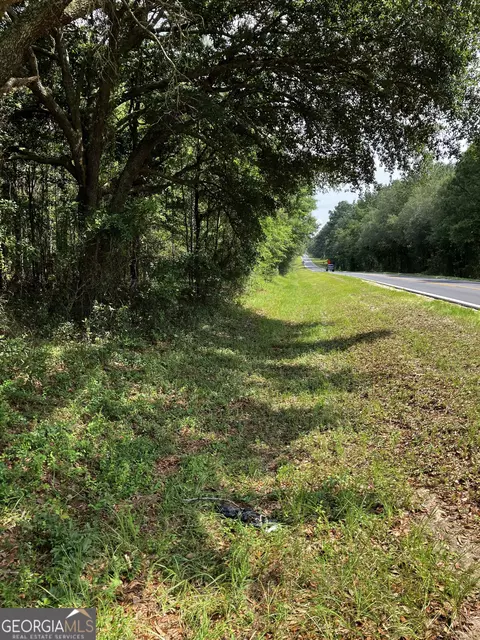 0 Hendrix Bridge Rd, Claxton, GA 30417 photo 2