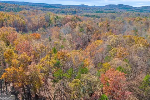 lot12 N Hicks Rd, Toccoa, GA 30577 photo 18