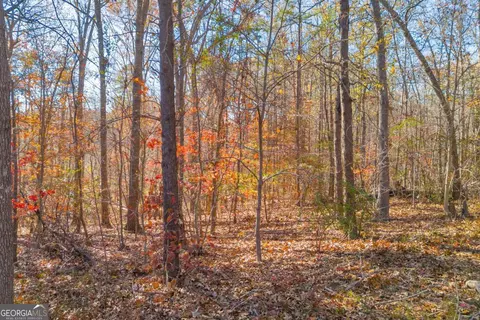 lot12 N Hicks Rd, Toccoa, GA 30577 photo 8