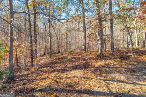 lot12 N Hicks Rd, Toccoa, GA 30577 photo 9