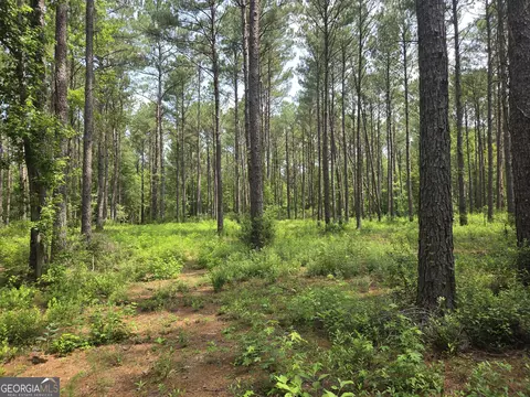 0 Colby Dr, Dublin, GA 31021